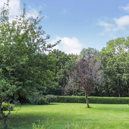 Woodland House B & B Wimborne Minster Dış mekan fotoğraf
