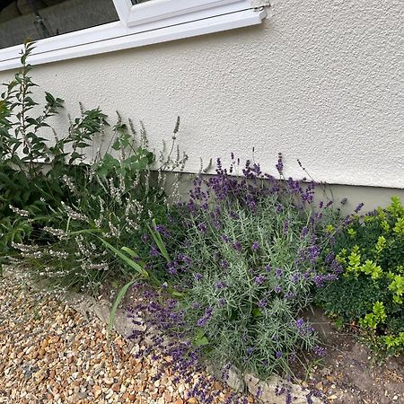 Woodland House B & B Wimborne Minster Dış mekan fotoğraf